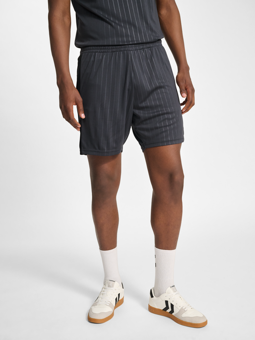 hmlPULSE STRIPE BLOCKED SHORTS, EBONY/BLACK, model