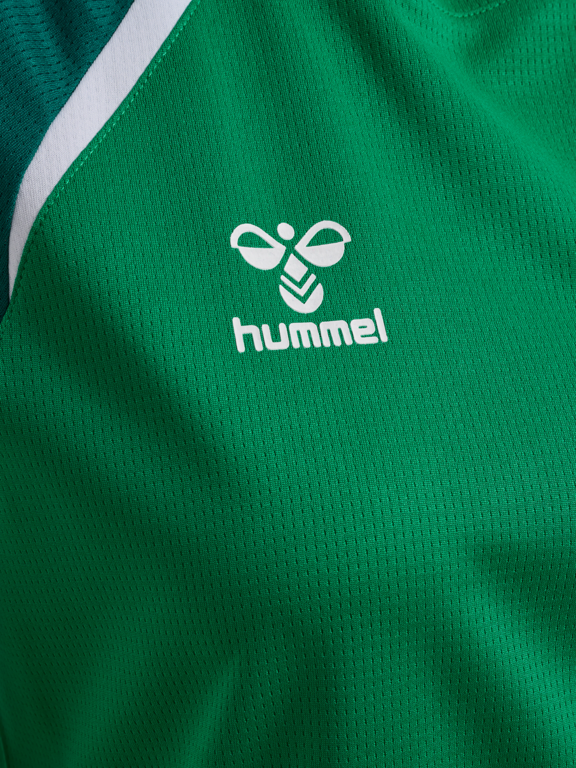 hmlLEAD 2.0 JERSEY S/S WOMAN, JELLY BEAN/EVERGREEN, packshot