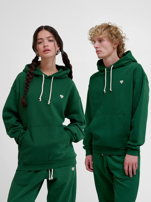 hmlLOOSE HOODIE BEE, EDEN, model