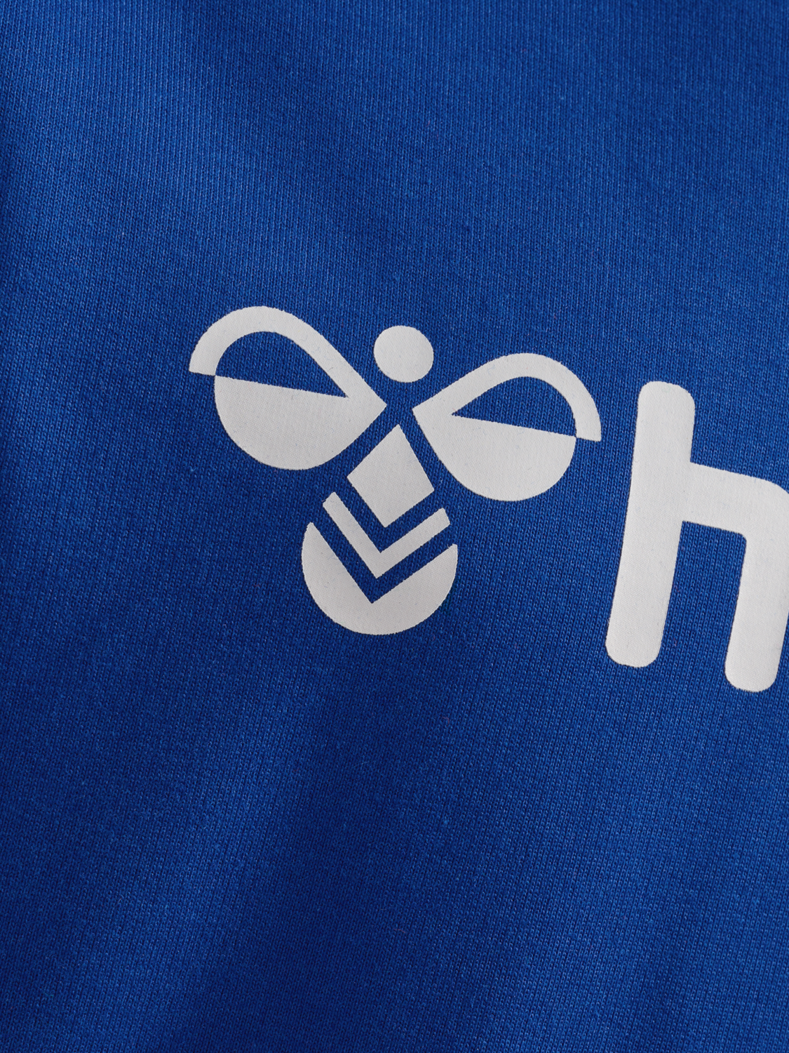 hmlGO 2.0 LOGO HOODIE KIDS, TRUE BLUE, packshot