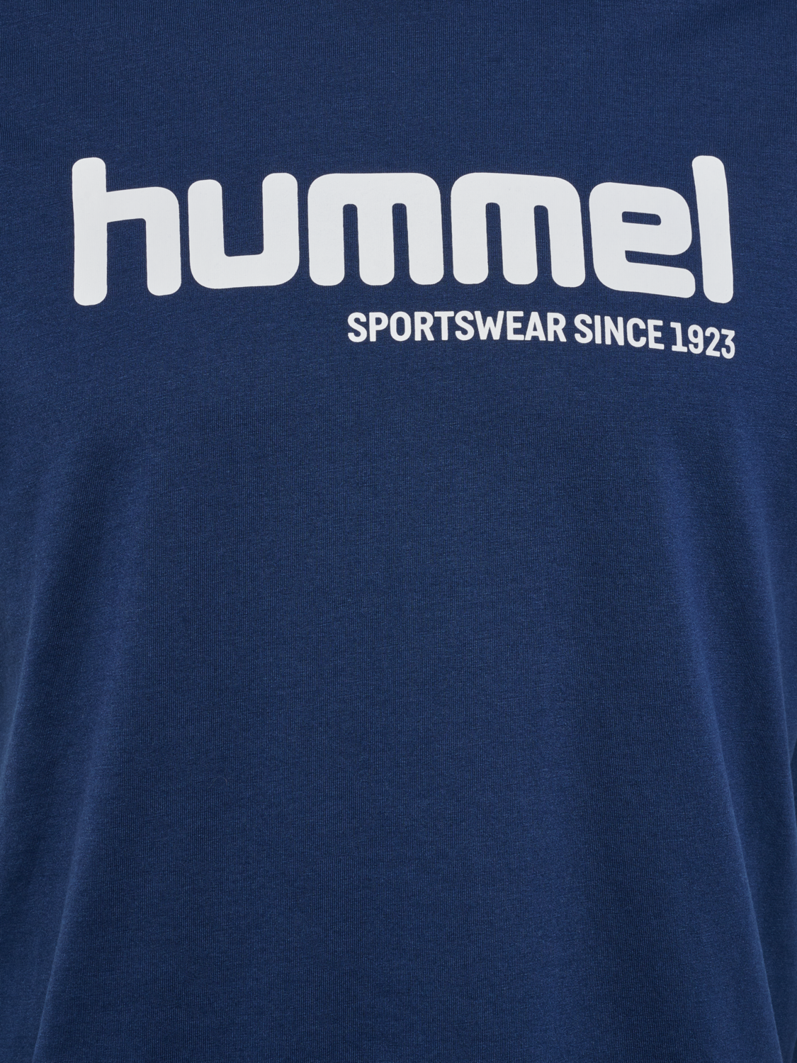 hmlPULSE GRAPHIC T-SHIRT S/S, DRESS BLUES/WHITE, packshot