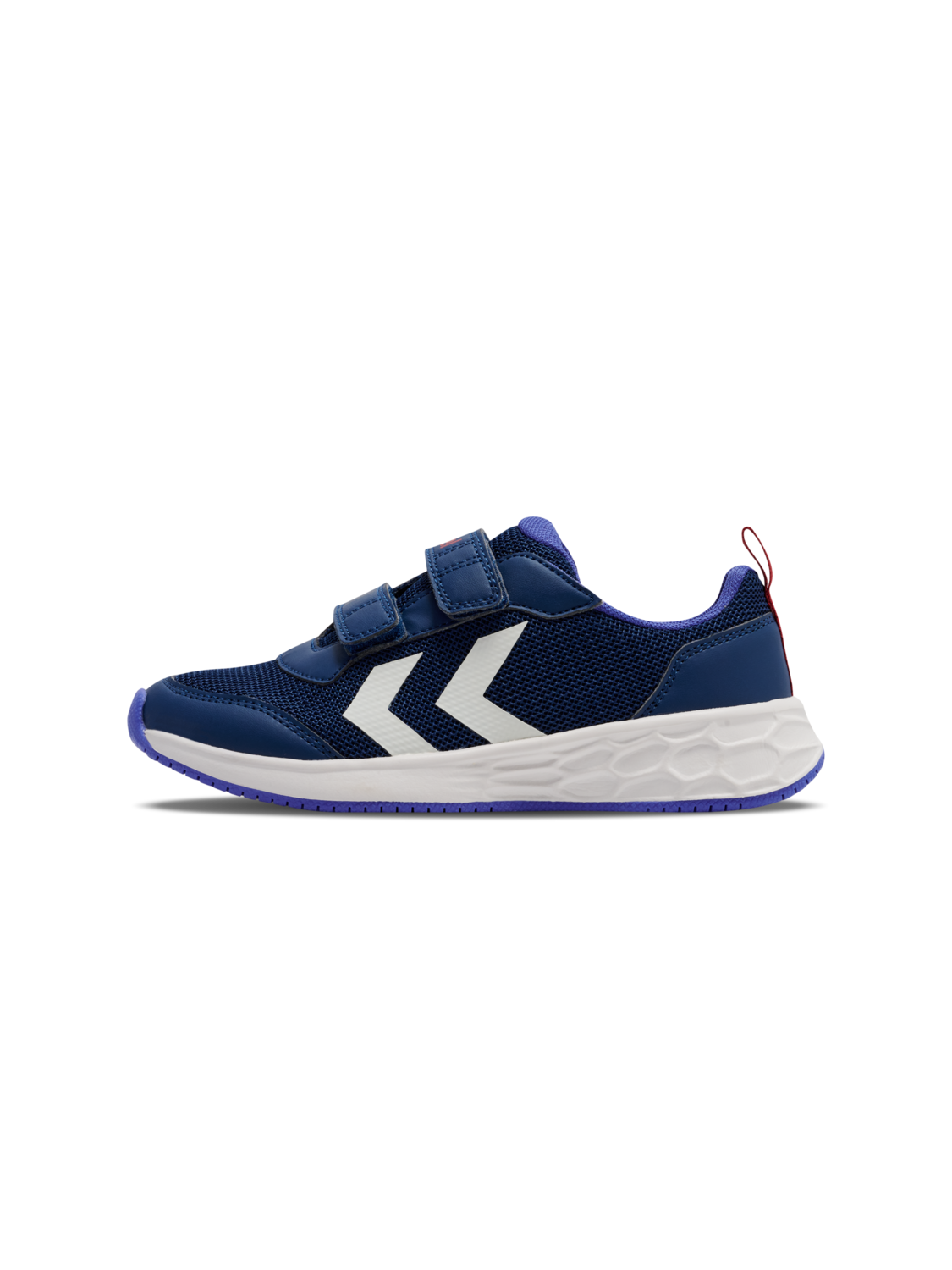 NAVY PEONY