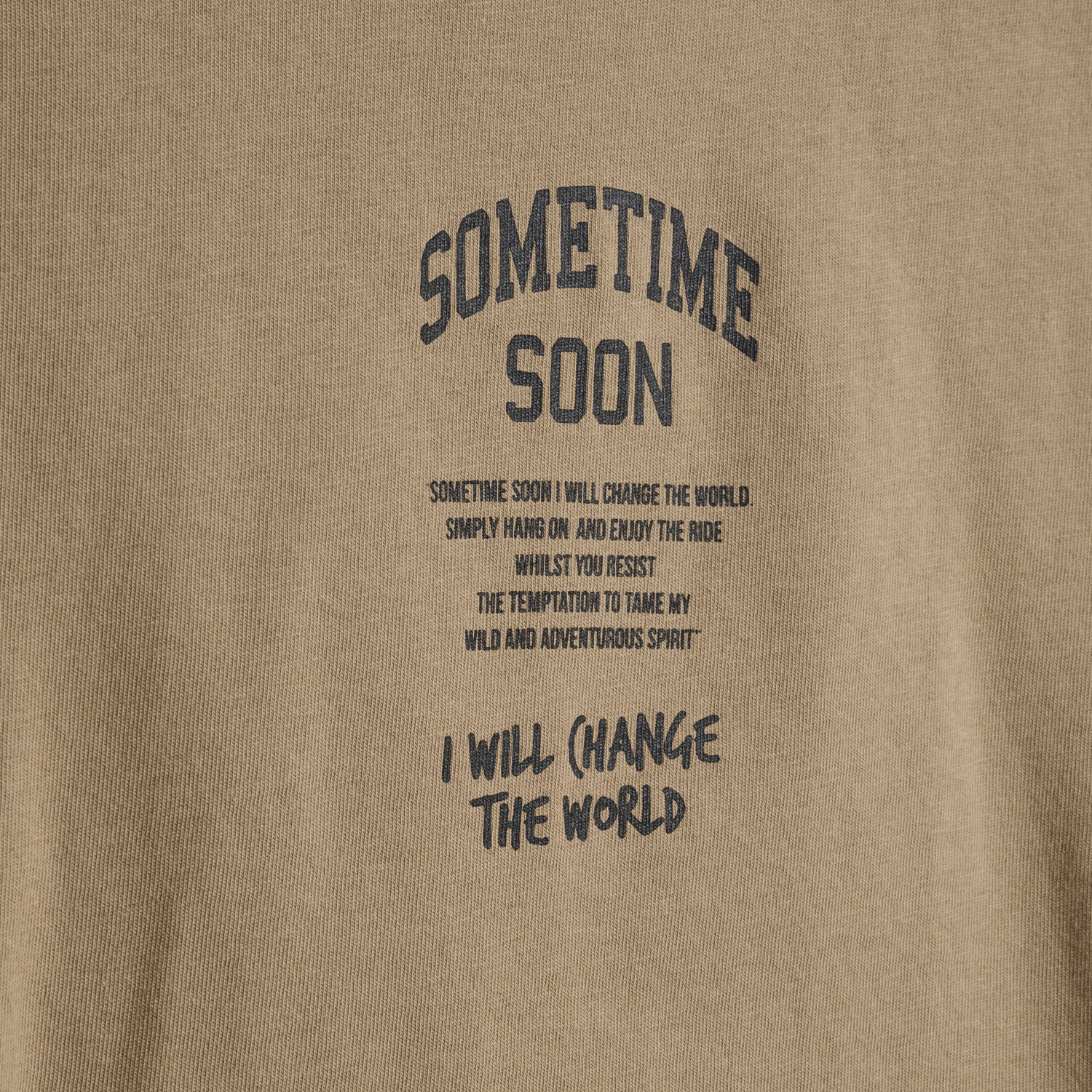 stmDIMAS T-SHIRT S/S, SEPIA TINT, packshot